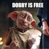 Dobby